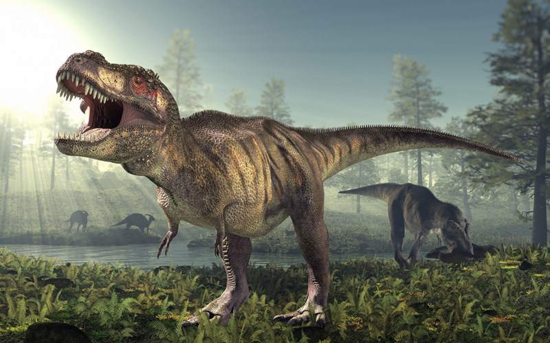 tyrannosaurus rex