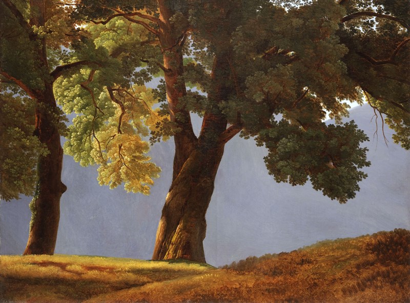 Simon Denis (Anvers 1755 – 1813 Naples), Arbres devant une vallée Huile sur toile. – 68,8 × 91,1 cm Fondation Custodia, Collection Frits Lugt, Paris, inv. 2017-S.18
