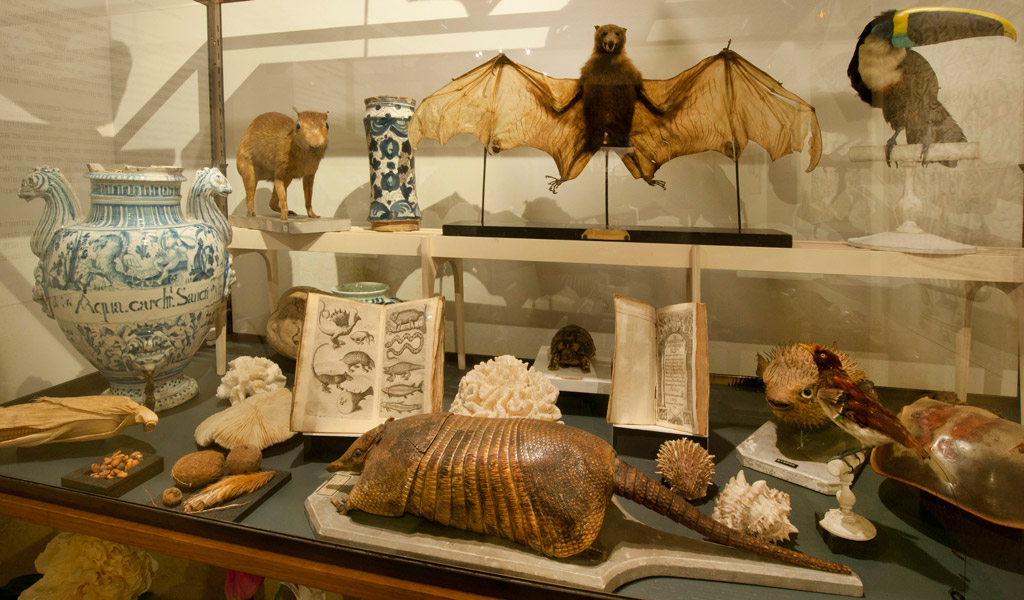 collection scientifique